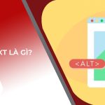 Alt Text là gì? Hướng dẫn viết Alt Text chuẩn SEO khi tối ưu hình ảnh