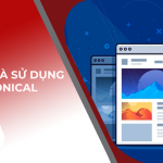 Hướng dẫn cài đặt và sử dụng canonical tags đơn giản
