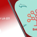 Entity là gì? Cách triển khai hiệu quả cho website năm 2024