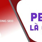 PBN là gì? 6+ bước quan trọng khi xây dựng PBN trong SEO