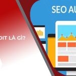 SEO Audit là gì? 4+ yếu tố cần đánh giá khi SEO Audit tổng thể