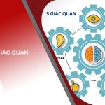 Tiếp thị giác quan - Tầm quan trọng trong marketing