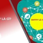 Entity là gì? Cách triển khai hiệu quả cho website năm 2025